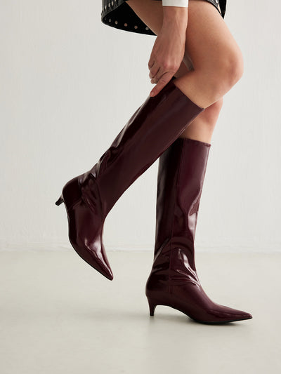 Pointed Toe Kitten Knee High Boots